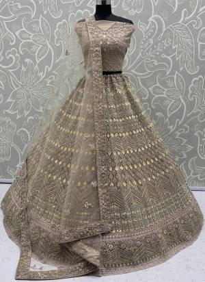 For A Fancy Designer Look,Grab These Lehenga Choli With Dupatta in Fine Colored.These Lehenga And Choli Are Net And Dupatta Are Fabricated On Soft Net Pair.Its Beautified With Dori, Sequance,Jari Embroidery,Zarkon Diamond Work. 