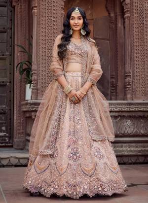 Attrective Looking This Party Wear Fine Color Fancy Heavy Designer Choli And Lahenga Fabriced On Net And Dupatta Net In Fabricated Beautified With Attrective Designer Heavy Sequance,Thread Embroidery Work. Buy Now.