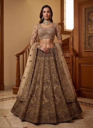 For A Fancy Designer Look,Grab These Lehenga Choli With Dupatta in Fine Colored.These Lehenga And Choli Are Net And Dupatta Are Fabricated On Net Pair.Its Beautified With Fancy Chapat Jari,Sequance,Multy Thread,Dori Embroidery,Zircon Diamond Work. 