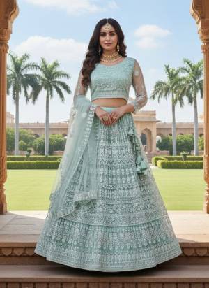 Looking These Party Wear Lehenga Choli in Fine Colored.These Lehenga And Choli Are Net And Dupatta Are Fabricated On Net Pair.Its Beautified With Designer Embroidery Work.