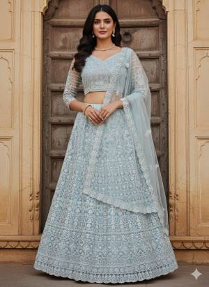 Looking These Party Wear Lehenga Choli in Fine Colored.These Lehenga And Choli Are Net And Dupatta Are Fabricated On Net Pair.Its Beautified With Designer Embroidery Work.