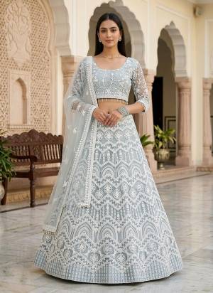 Looking These Party Wear Lehenga Choli in Fine Colored.These Lehenga And Choli Are Net And Dupatta Are Fabricated On Net Pair.Its Beautified With Designer Embroidery Work.
