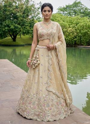 Attrective Looking This Party Wear Fine Color Fancy Heavy Designer Choli And Lahenga Fabriced On Tissue And Dupatta Tissue In Fabricated Beautified With Attrective Designer Sequance,Beads Embroidery Work. Buy Now.