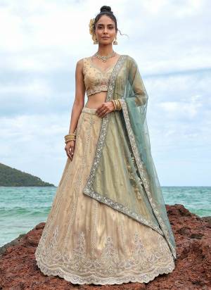 Looking This Party Wear Fine Color Fancy Heavy Designer Choli And Lahenga Fabriced On Tissue And Dupatta Tissue In Fabricated Beautified With Attrective Designer Sequance,Beads Embroidery Work. Buy Now.
