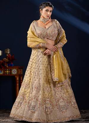 For A Designer Look,Grab These Lehenga Choli in Fine Colored.These Lehenga And Blouse Are Fabricated On Tissue Pair With Dupatta Are Tissue.Its Beautified With Heavy Designer Embroidery Work.