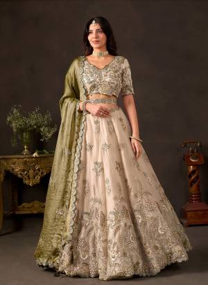 For A Designer Look,Grab These Lehenga Choli in Fine Colored.These Lehenga Are Fendy And Blouse Are Fabricated On Fendy Pair With Dupatta Are Fendy.Its Beautified With Designer Dori,Thread,Jari,Sequance Embroidery Work.