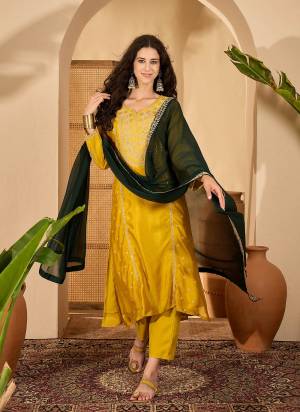 Looking These Suit in Fine Colored Pair With Bottom And Dupatta.These Top Are Vichitra Silk And Bottom Are Fabricated On Vichitra Silk Pair With Chiffon Dupatta.Its Beautified With Heavy Designer Embroidery Work.