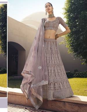 The Upcoming Wedding and Festive Season Wearing This Heavy Designer Lehenga Choli In Light Color. Its Blouse, Lehenga And Dupatta Are Fabricated On Soft Net Beautified With Heavy Attractive Embroidery. 

