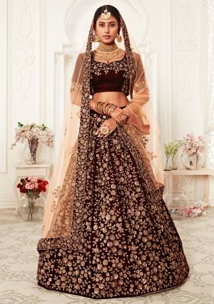 Garb This Heavy Designer Lehenga Choli In All Over Color. This Heavy Embroidered Lehenga Choli Is Velvet Based Paired With Soft Net Fabricated Dupatta, It Is Beautified With Lovely Detailed Heavy Embroidery Giving An Attractive Look.