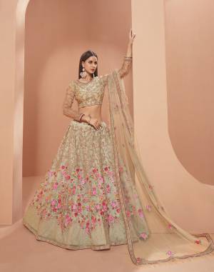 Garb This Wedding Special Designer Lehenga Choli And Dupatta In Fine Color. Blouse Are Fabricated On Net And Lahenga Are Net Beautified With Dupatta Are Net Fabric With Thread,Jari,Sequance Embroidery Work. 