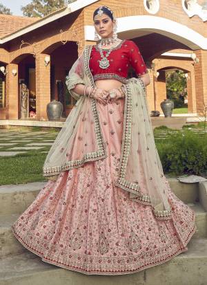 Garb This Partywear Fine Color Heavy Designer Lehemga Choli Fabric Are Malai Satin And And Dupatta Soft Net In Fabricated Beautified With Attrective Embroidery,Diamond Stone Work. Buy Now.