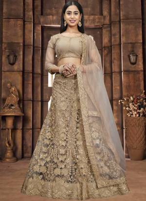 Looking These Beautiful Colored Lehenga Choli.These Lehenga and Dupatta Are Fabricated On Net Pair With Net Blouse.Its Beautified With Designer Sequance Embroidery Work.