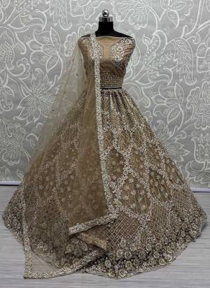For A Fancy Designer Look,Grab These Lehenga Choli With Dupatta in Fine Colored.These Lehenga Are Net And Choli Are Net And Dupatta Are Fabricated On Soft Net Pair.Its Beautified With Designer Sequance,Thread,Dori,Badala Patti Embroidery With Zircon Diamond Work.