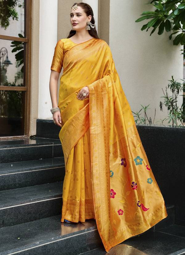 Midnight Black Resham Thread Organza Wedding Saree