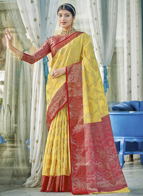 Powder Blue Zari Woven Velvet Georgette Saree